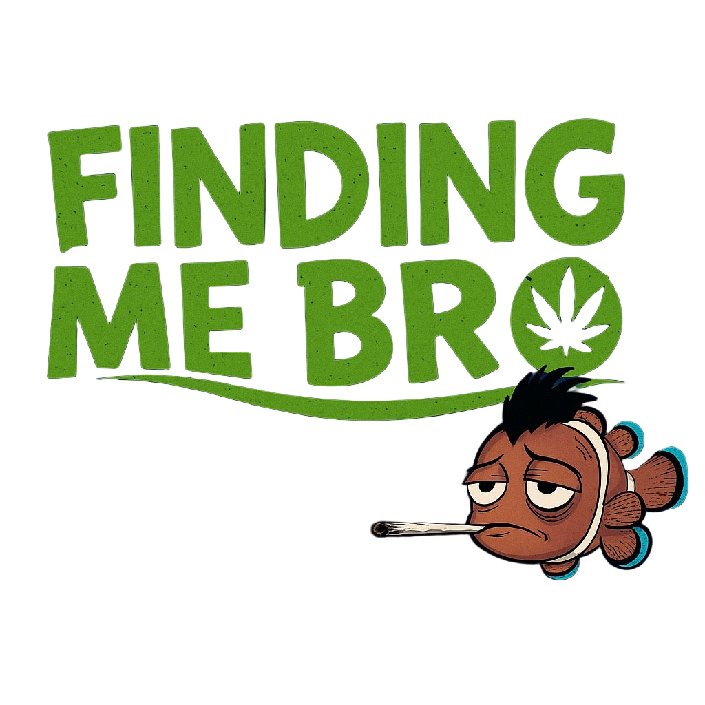 FINDING ME BRO